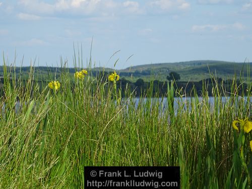 Lough Arrow